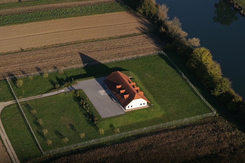 cistilna kostanjevica